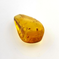 9,75 ct Ámbar con insecto cabujón 24,47 x 13,19 x 9,71 mm