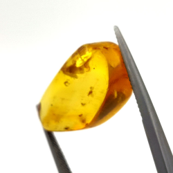 9,75 ct Ambra con insetto cabochon 24,47 x 13,19 x 9,71 mm