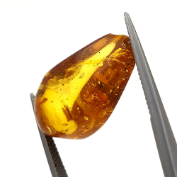 9,75 ct Ambre avec insecte cabochon 24,47 x 13,19 x 9,71 mm