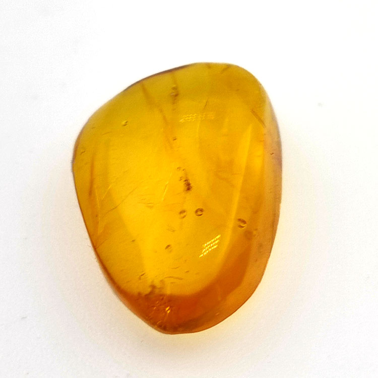 6,25 ct Bernstein mit Cabochon Insekt 20,00 x 13,42 x 7,40 mm