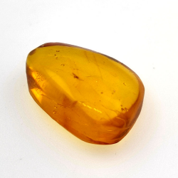 6,25 ct Ambre avec insecte cabochon 20,00 x 13,42 x 7,40 mm