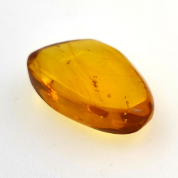 6,25 ct Amber with cabochon insect 20,00 x 13,42 x 7,40 mm