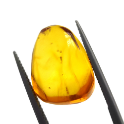 6,25 ct Amber with cabochon insect 20,00 x 13,42 x 7,40 mm