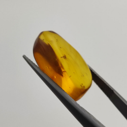 6,25 ct Amber with cabochon insect 20,00 x 13,42 x 7,40 mm