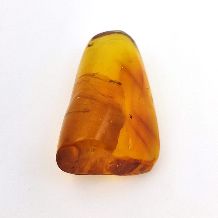 31,36 ct Ámbar con insecto cabujón 41,14 x 25,96 x 18,42 mm
