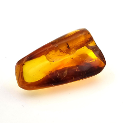 31,36 ct Ambra con insetto cabochon 41,14 x 25,96 x 18,42 mm