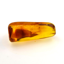 31,36 ct Ambra con insetto cabochon 41,14 x 25,96 x 18,42 mm