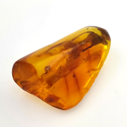 31.36 ct Amber with insect cabochon 41.14 x 25.96 x 18.42 mm