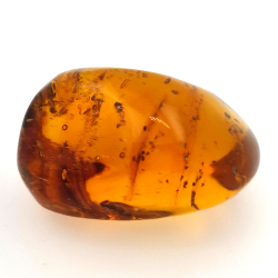 45.88 ct Amber with insect cabochon 33.57 x 23.51 x 20 mm