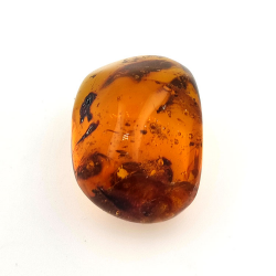 45,88 ct Ámbar con insecto cabujón 33,57 x 23,51 x 20 mm
