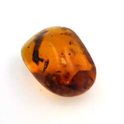 45,88 ct Bernstein mit Cabochon-Insekt 33,57 x 23,51 x 20 mm