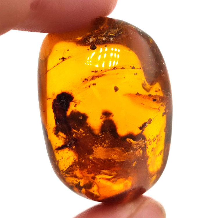 45.88 ct Amber with insect cabochon 33.57 x 23.51 x 20 mm