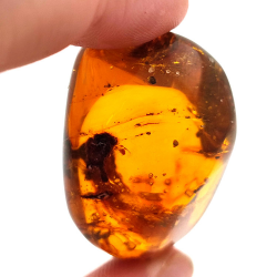 45,88 ct Bernstein mit Cabochon-Insekt 33,57 x 23,51 x 20 mm
