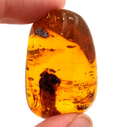 45,88 ct Bernstein mit Cabochon-Insekt 33,57 x 23,51 x 20 mm