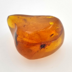 64,77 ct Ambra con insetto cabochon 38,63 x 30,64 x 21,13 mm