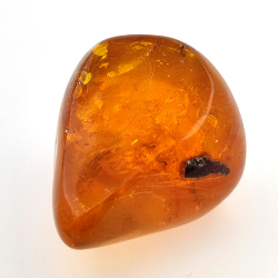 64,77 ct Ambra con insetto cabochon 38,63 x 30,64 x 21,13 mm