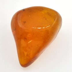 64,77 ct Ámbar con insecto cabujón 38,63 x 30,64 x 21,13 mm