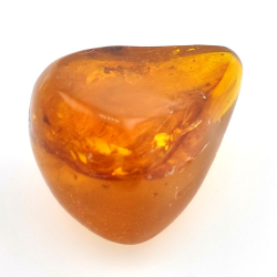 64,77 ct Bernstein mit Cabochon-Insekt 38,63 x 30,64 x 21,13 mm