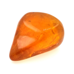 64,77 ct Bernstein mit Cabochon-Insekt 38,63 x 30,64 x 21,13 mm