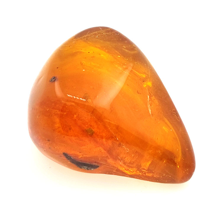 64,77 ct Ámbar con insecto cabujón 38,63 x 30,64 x 21,13 mm