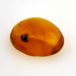 1,67 ct Ámbar con insecto cabujón 12.80 x 10,20 x 4,51 mm