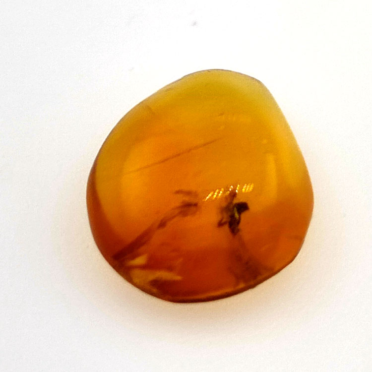 1,67 ct Ambra con insetto cabochon 12,80 x 10,20 x 4,51 mm