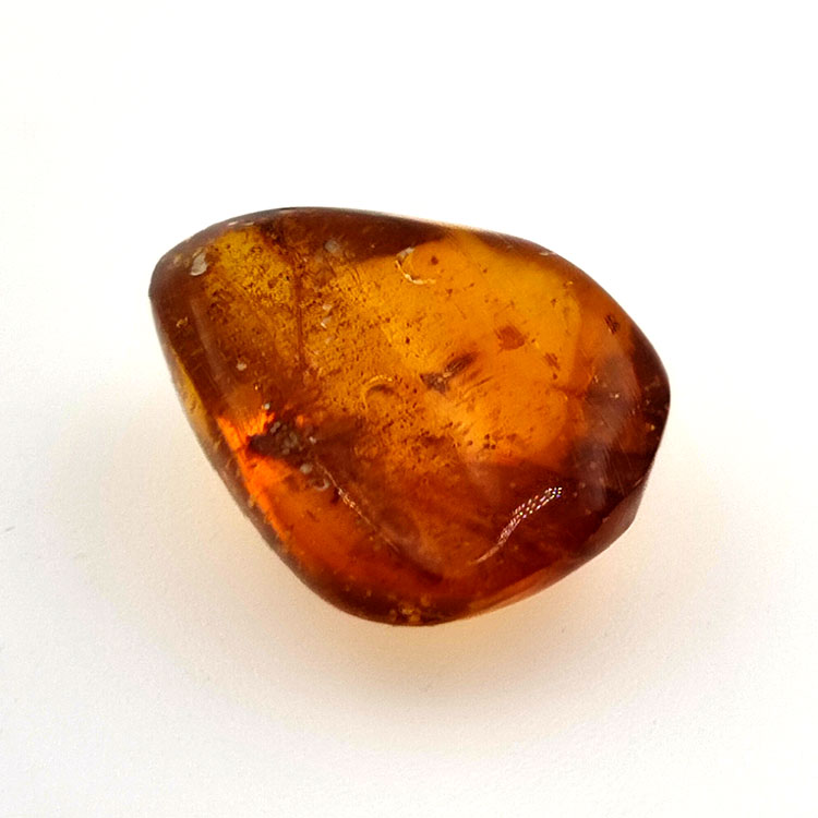 6,58 ct Bernstein mit Cabochon-Insekt 19,15 x 15,02 x 7,84 mm