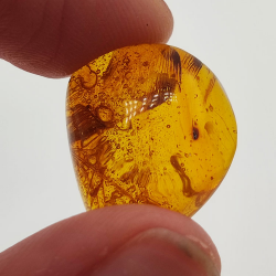 6.58 ct Amber with insect cabochon 19.15 x 15.02 x 7.84 mm