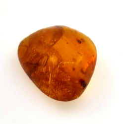 6,58 ct Bernstein mit Cabochon-Insekt 19,15 x 15,02 x 7,84 mm