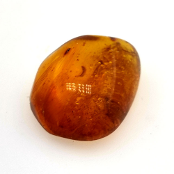 6,58 ct Bernstein mit Cabochon-Insekt 19,15 x 15,02 x 7,84 mm