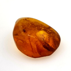 6,58 ct Bernstein mit Cabochon-Insekt 19,15 x 15,02 x 7,84 mm