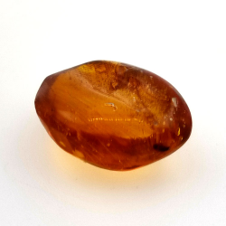 6,58 ct Ámbar con insecto cabujón 19,15 x 15,02 x 7,84 mm