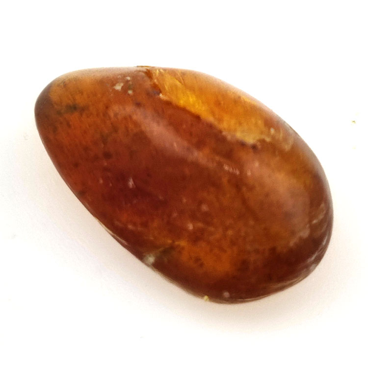 6,66 ct Ámbar con insecto cabujón 23,12 x 13,62 x 7,85 mm