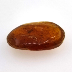 6.66 ct Amber with insect cabochon 23.12 x 13.62 x 7.85 mm