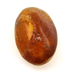 6,66 ct Ámbar con insecto cabujón 23,12 x 13,62 x 7,85 mm