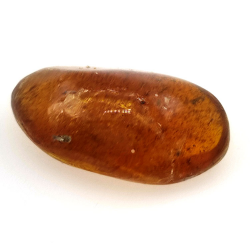6.66 ct Amber with insect cabochon 23.12 x 13.62 x 7.85 mm