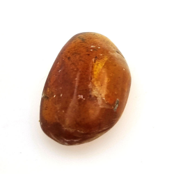 6,66 ct Ambra con insetto cabochon 23,12 x 13,62 x 7,85 mm