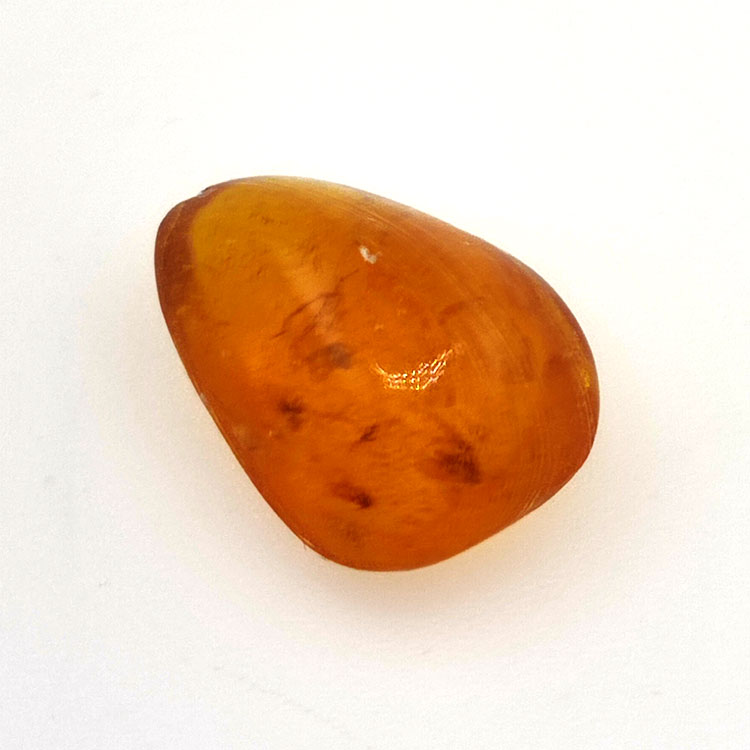 3,10 ct Bernstein mit Cabochon-Insekt 15,39 x 11,37 x 6,66 mm