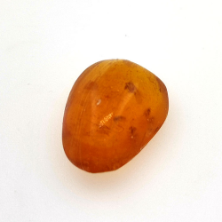 3,10 ct Bernstein mit Cabochon-Insekt 15,39 x 11,37 x 6,66 mm