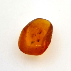 3,10 ct Bernstein mit Cabochon-Insekt 15,39 x 11,37 x 6,66 mm