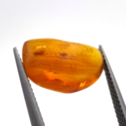 3,10 ct Ámbar con insecto cabujón 15,39 x 11,37 x 6,66 mm