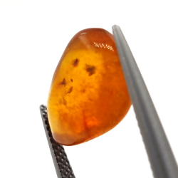3,10 ct Ámbar con insecto cabujón 15,39 x 11,37 x 6,66 mm