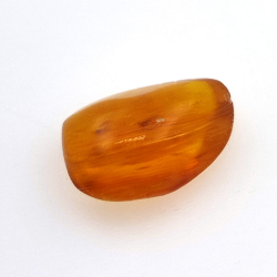 3,10 ct Bernstein mit Cabochon-Insekt 15,39 x 11,37 x 6,66 mm