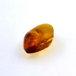 4,43 ct Bernstein mit Käfer in Cabochon 16,85 x 10,82 x 7,24 mm