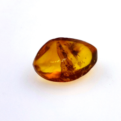 4,43 ct Bernstein mit Käfer in Cabochon 16,85 x 10,82 x 7,24 mm
