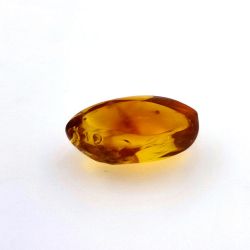 4,43 ct Ámbar con escarabajo en cabujón 16,85 x 10,82 x 7,24 mm