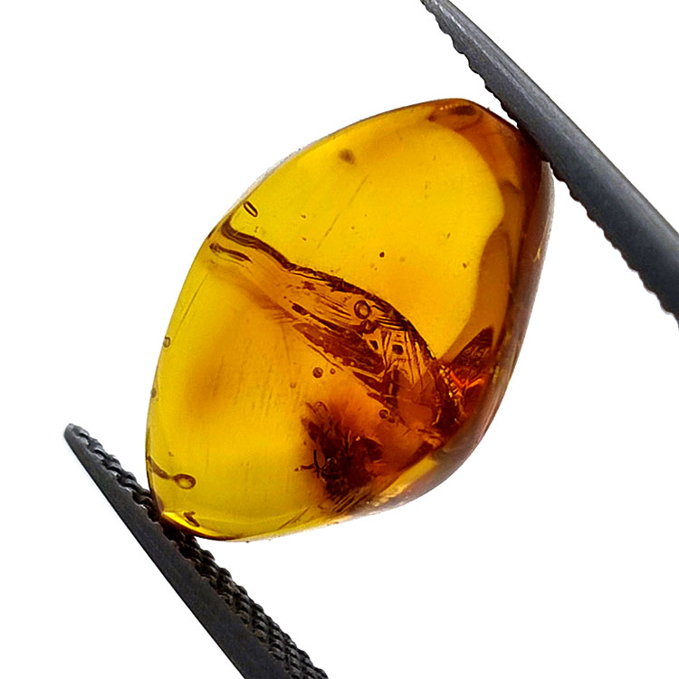 4,43 ct Ámbar con escarabajo en cabujón 16,85 x 10,82 x 7,24 mm