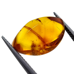 4,43 ct Bernstein mit Käfer in Cabochon 16,85 x 10,82 x 7,24 mm
