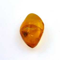4,43 ct Bernstein mit Käfer in Cabochon 16,85 x 10,82 x 7,24 mm