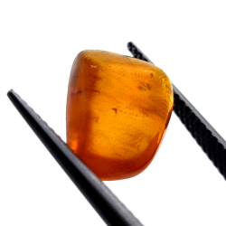 2,77 ct Bernstein mit Cabochon-Insekt 15,22 x 12,73 x 5,60 mm